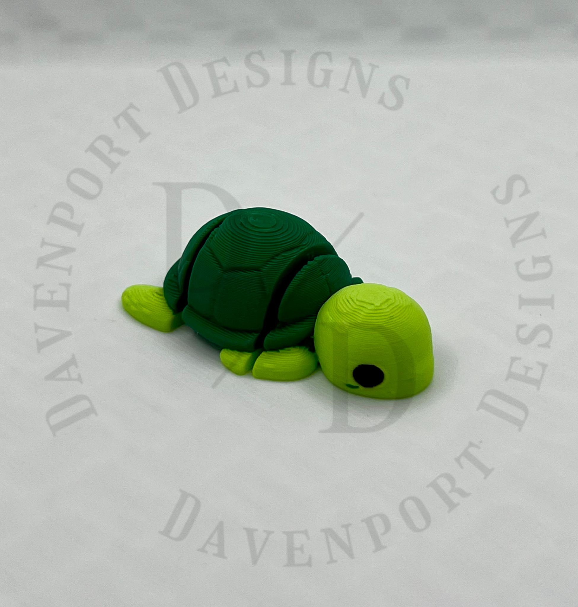 Stan the Turtle